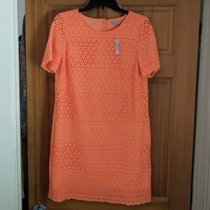NWT Broadway and Broome Eyelet Mini Shift Dress